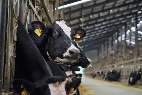 10月16日证券之星早间消息汇总:国新办将于17日举行关于房地产的发布会