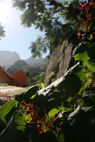 佛得角背风岛商会主席：美国“对等关税”不会对佛造成重大问题