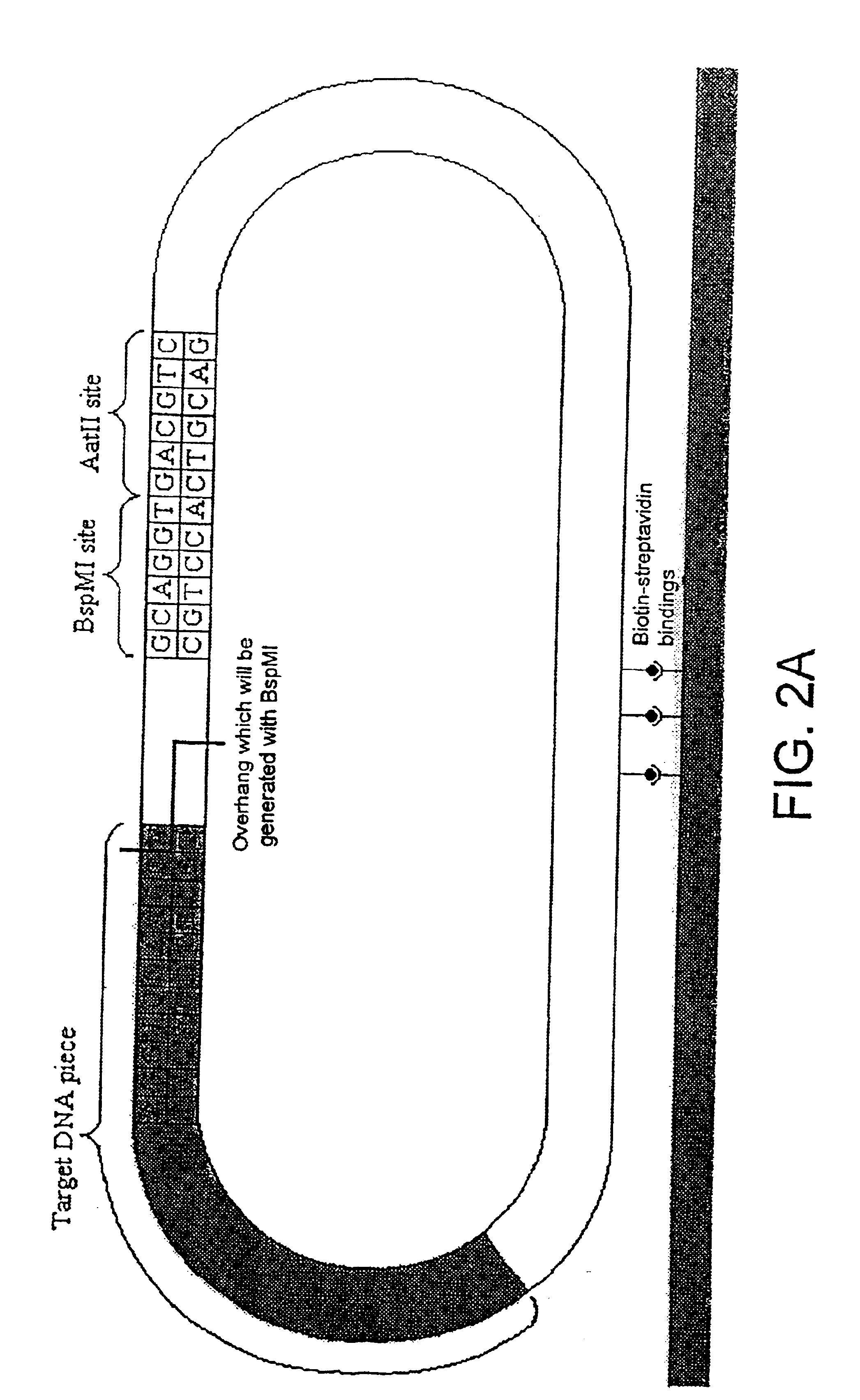 视源股份获得实用新型专利授权：“一种显示设备及其边框”