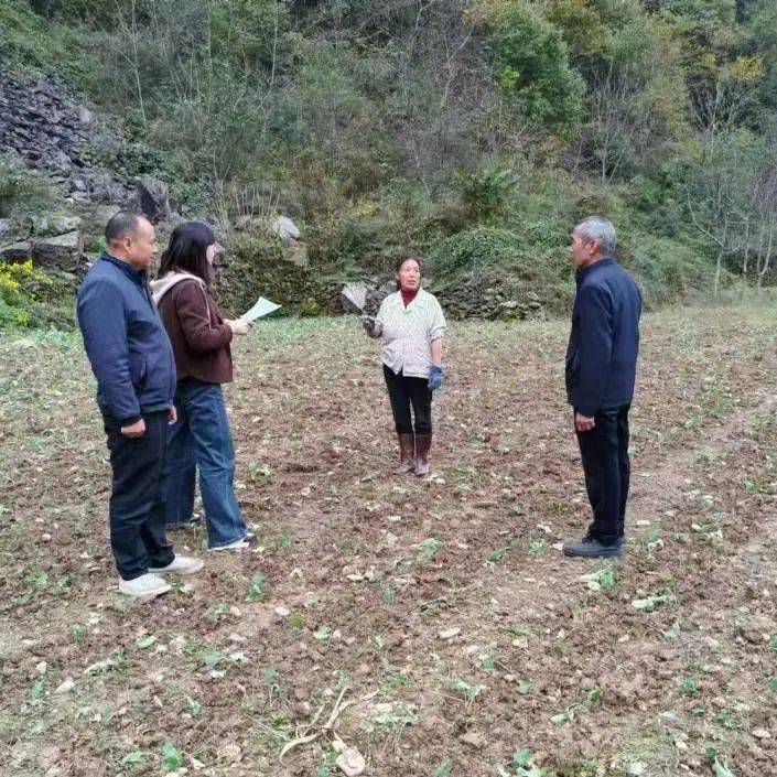 稳根基、促转型 大名城寻求第二曲线突破