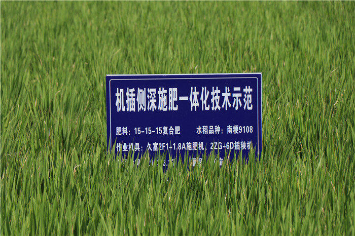 拟5.91亿元投建甜菜生物育种及种植加工一体化项目 亚盛集团布局甜菜制糖产业