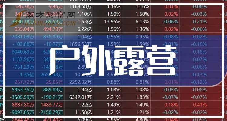 三夫户外(002780)2025年一季报简析:营收净利润同比双双增长,盈利能力上升