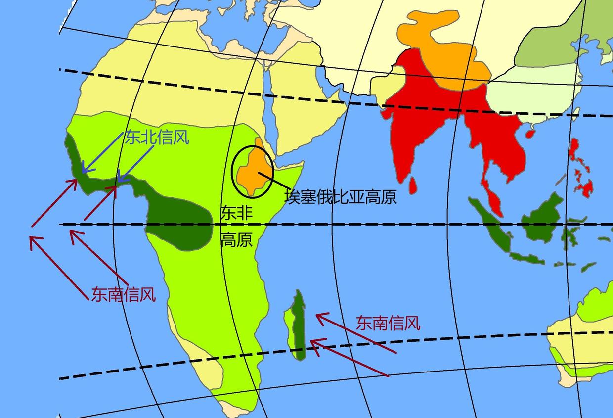 非洲棉花生产商团结起来应对气候冲击和低价格