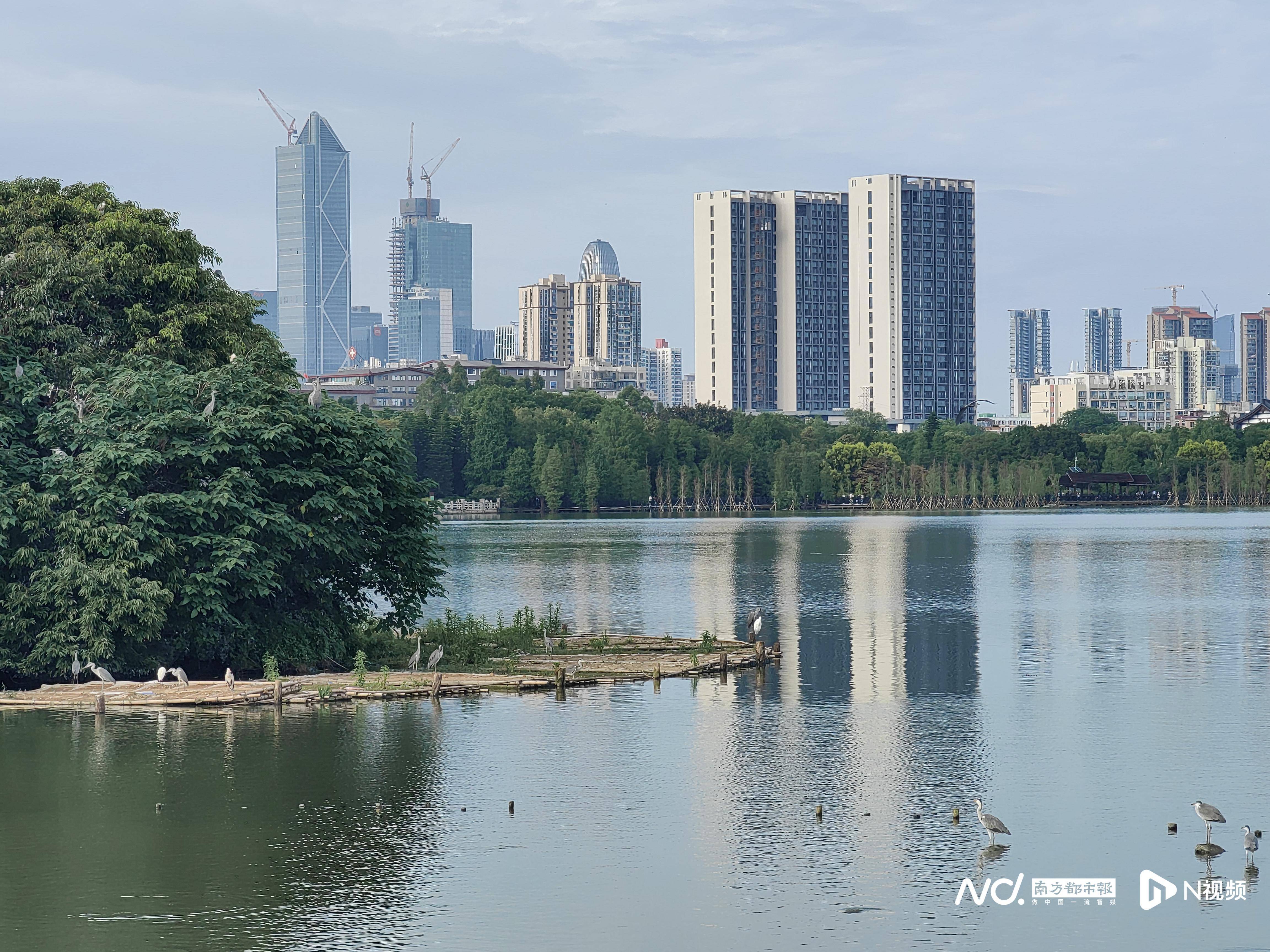 广州3宗地，被这家房企包揽！南京一宅地竞价226轮成交