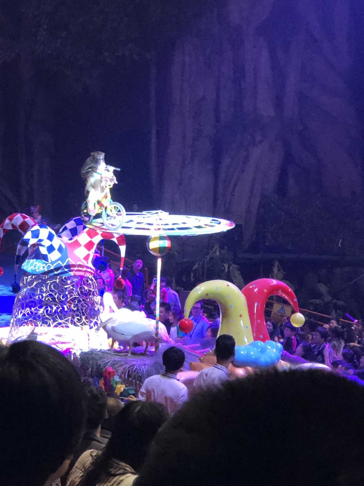 返程提醒！这些“战利品”能带上火车吗？