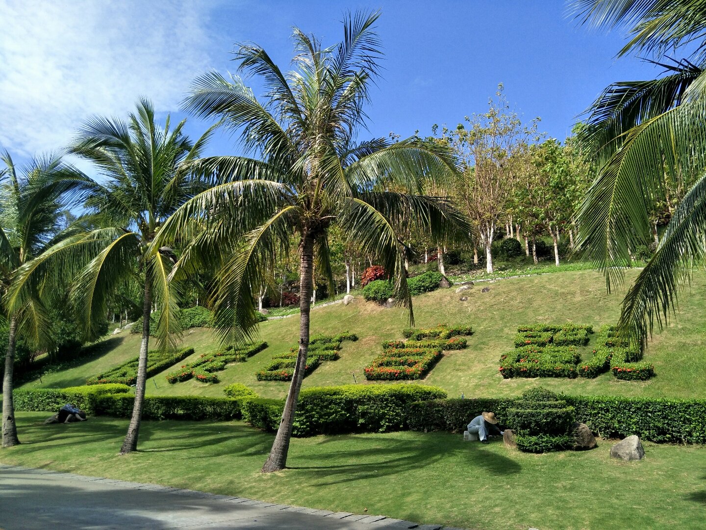 海南省三亚市委原常委、秘书长黄兴武被“双开”