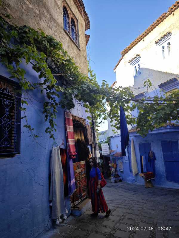 摩洛哥欧盟2024年双边贸易额创历史新高