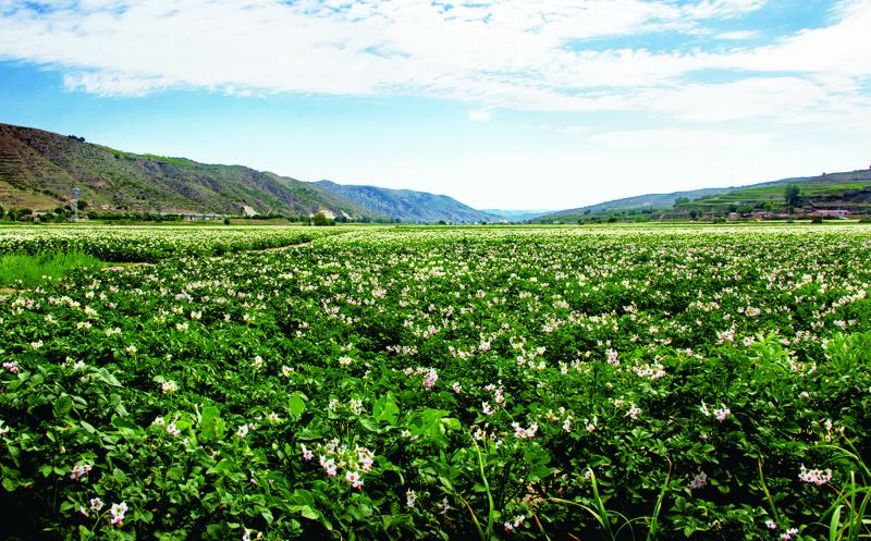 庄园牧场(002910.SZ)：拟与关联方共同设立甘肃甘味茶运营管理有限公司