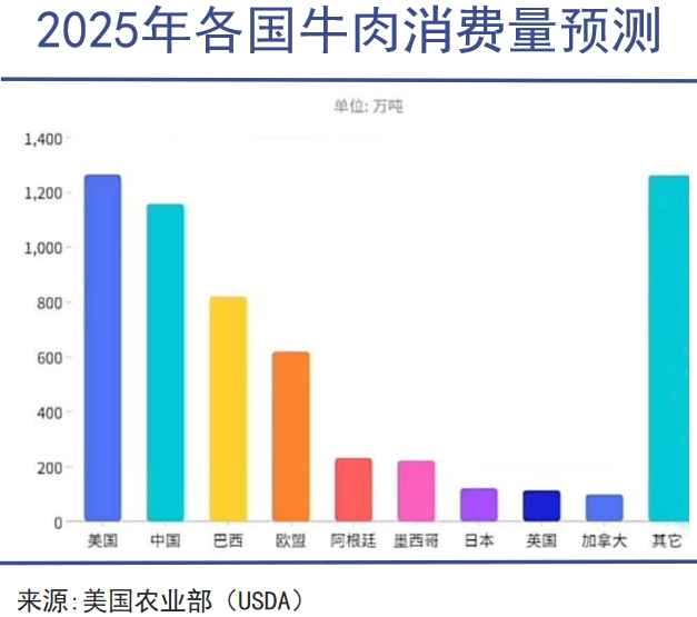 2025年第一季度阿根廷牛肉出口大幅下降