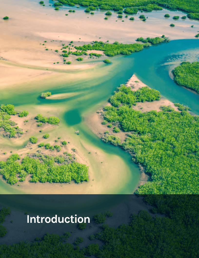 利比里亚修订国家自主贡献气候变化行动计划