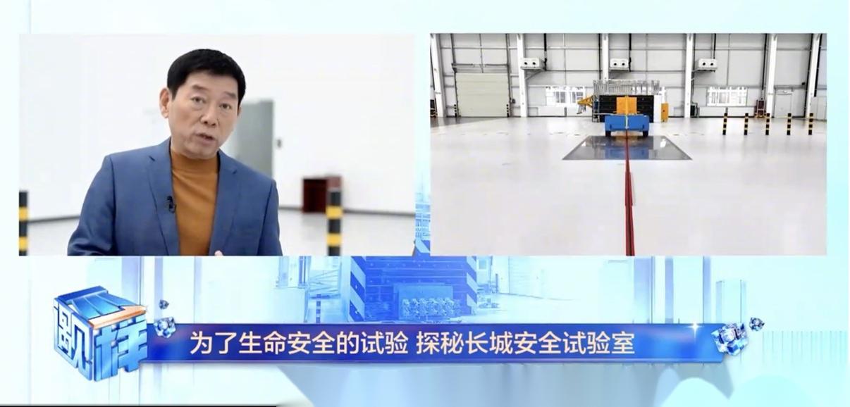 不是我在等，是行业在等：魏建军的孤勇与时代回响