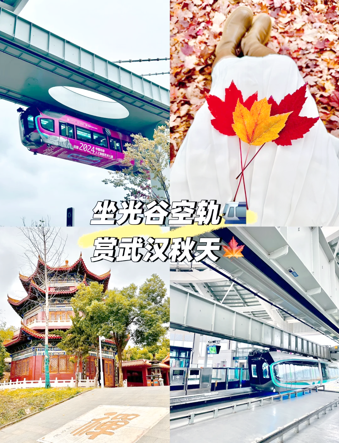 中国光谷迎来科技旅游热
