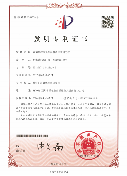 美腾科技获得发明专利授权：“一种安全管理知识图谱数据的标注方法”