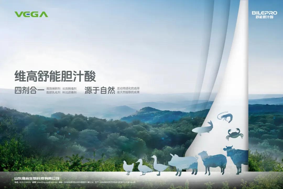 温氏股份:4月肉猪养殖上市率约93% 单月投苗量创历史新高