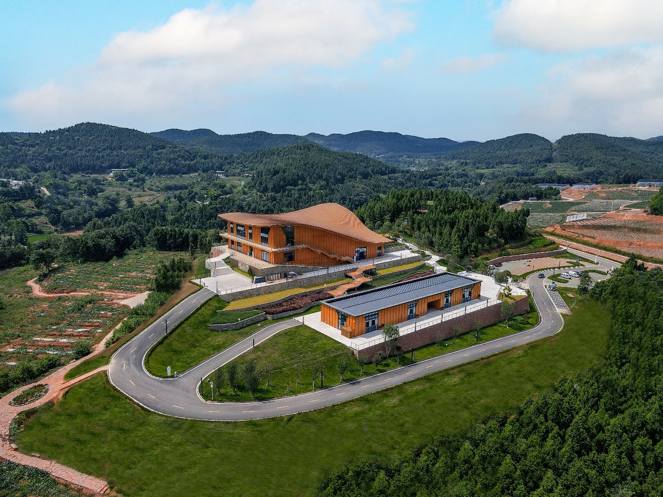 峨眉山A：传统主业萎缩，新兴演艺业务成“拖油瓶”，欲借低空经济转型谋变