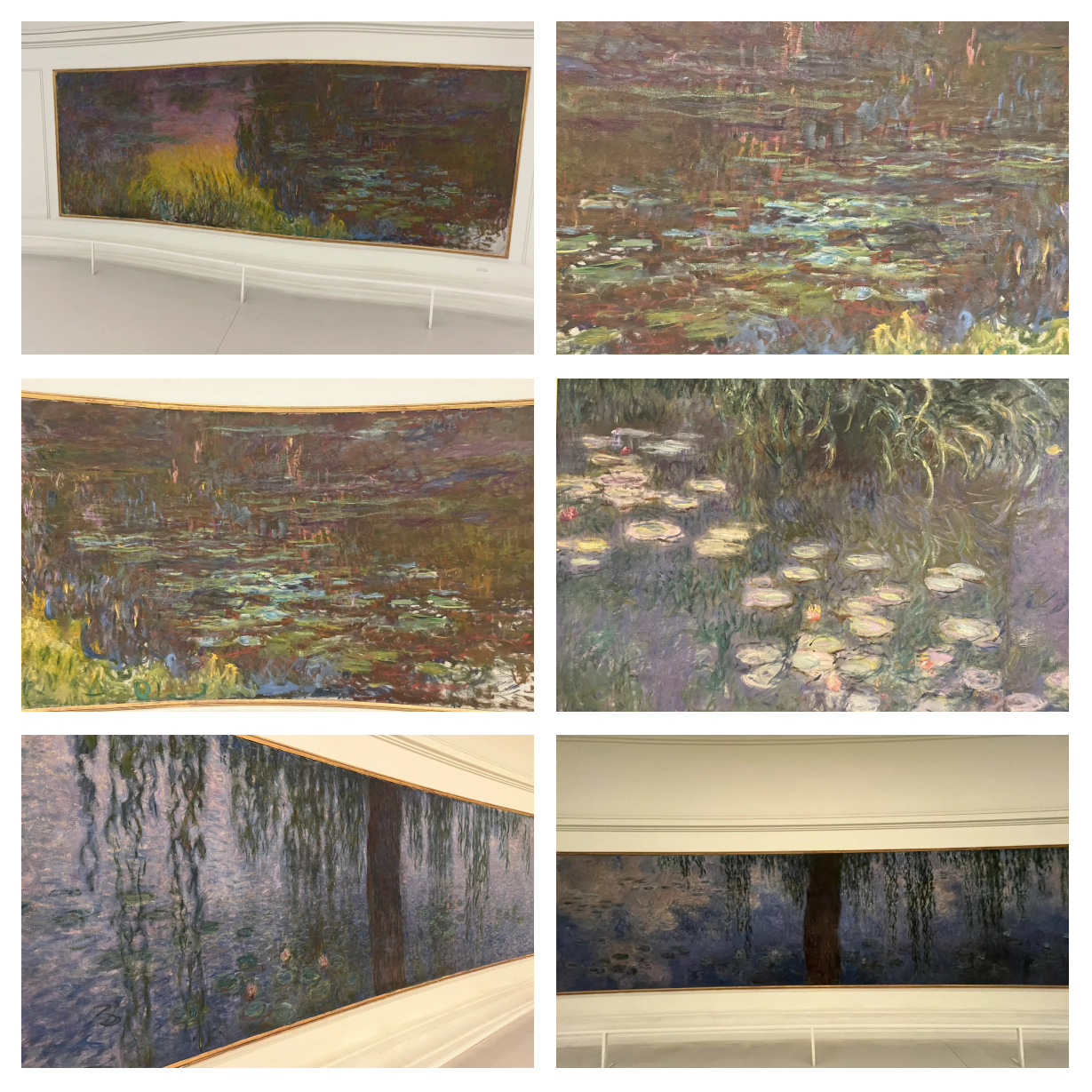 莫奈 “假名” 睡莲的艺术迷思与真相?