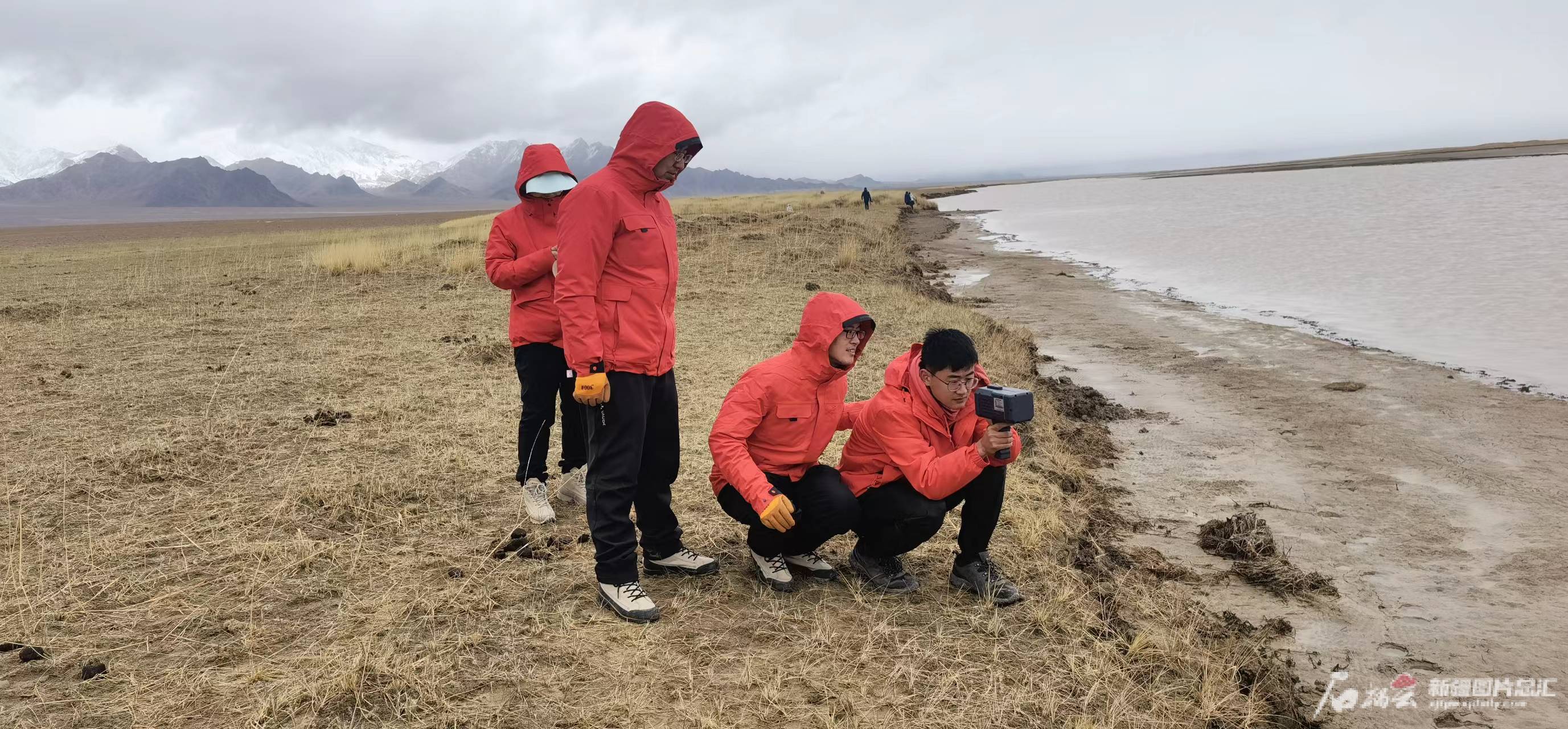 第三次新疆综合科学考察发现很多新物种