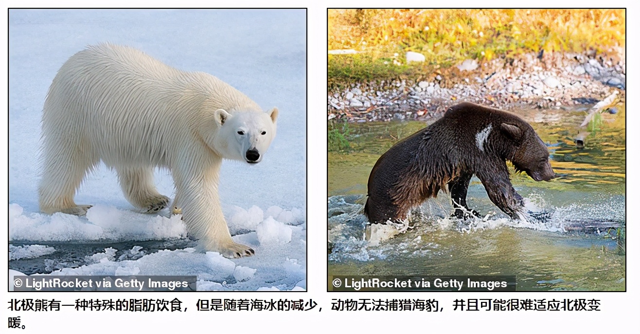 第三次新疆综合科学考察发现很多新物种