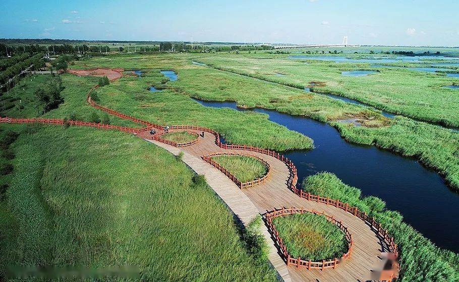 嘉泽新能在黑龙江投资成立绿色化工公司