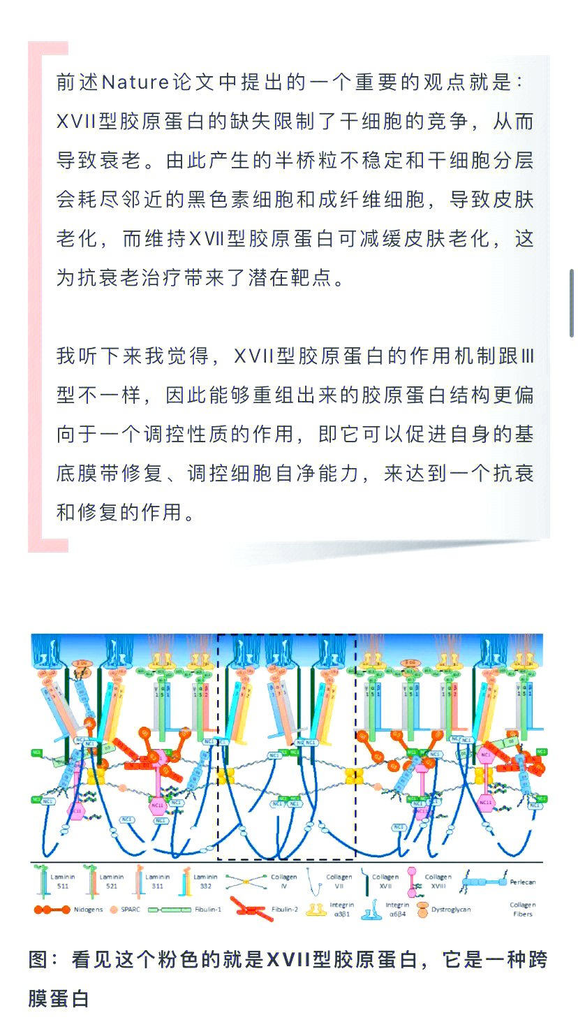 锦波生物6月4日大宗交易成交101.06万元