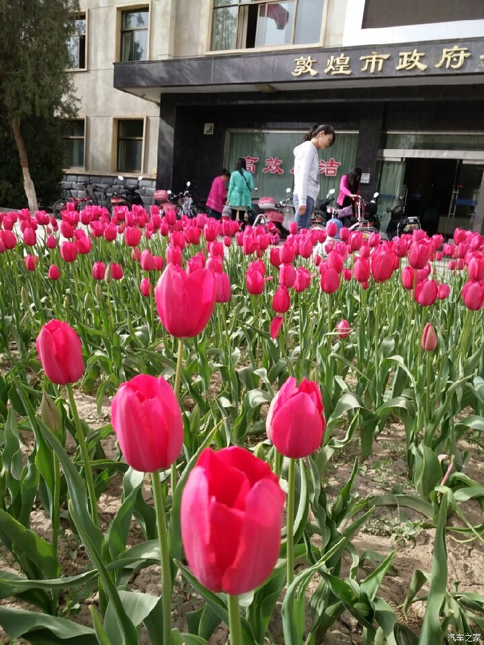 做用户的人生共建者，起亚品牌电影《所向由心》上线