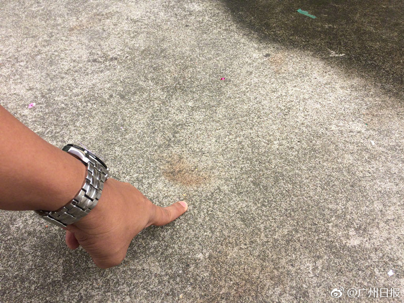 “罗某宇坠楼事件”联合调查组发布情况通报