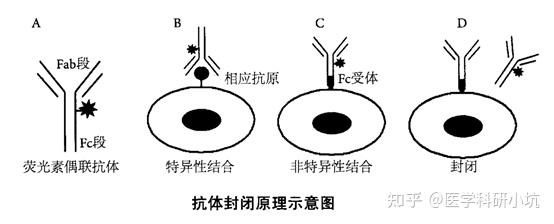 达安基因获得发明专利授权：“一种荧光素标记的核苷三磷酸的纯化方法”