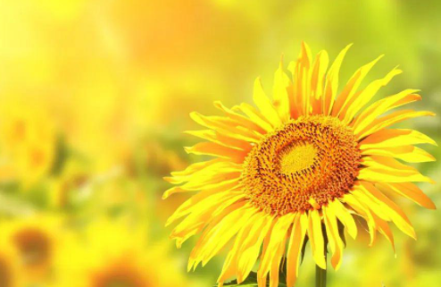 乐观情绪持续，非银单周增配信用债875亿