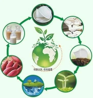 华茂股份：公司子公司生产的产品主要是聚乳酸纤维与泡泡玛特无合作关系