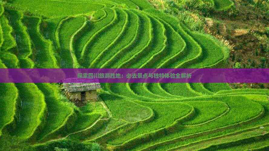 2025图博会 | 聚焦雪漠，聚焦“文学流转的力量”