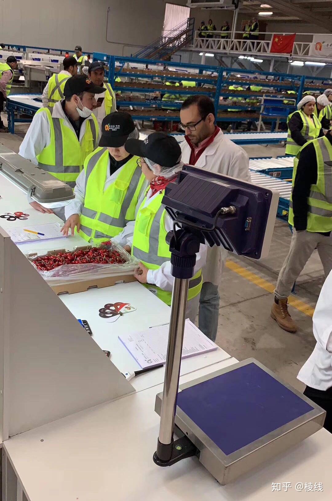2025年一季度智利外包及临时用工需求增长20%