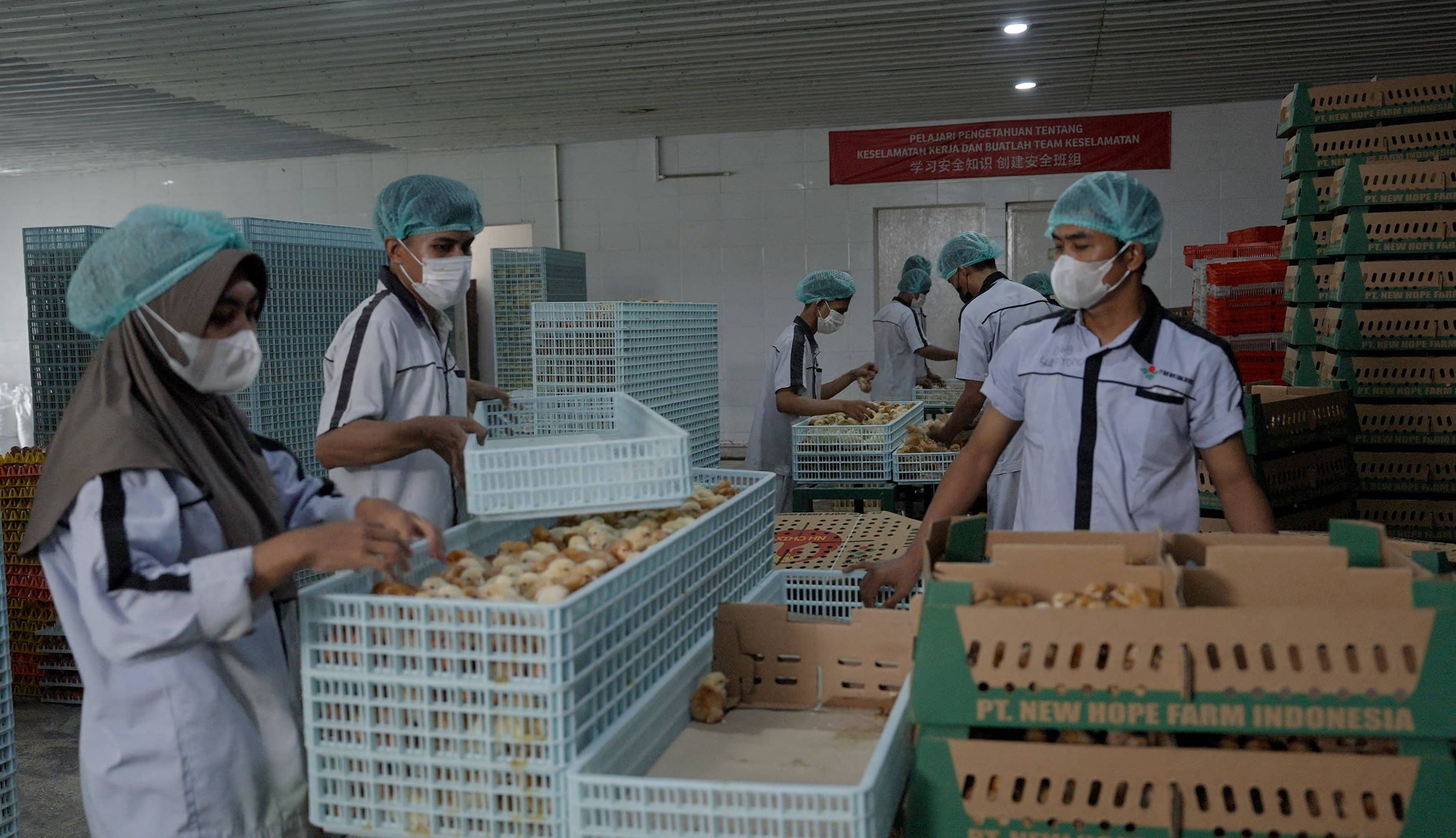 牧原股份：港股发行预计到四季度落地