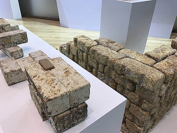 新型“活体建筑材料”可从空气中吸收二氧化碳