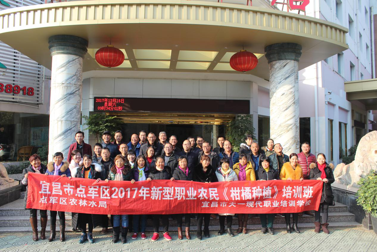 农业农村部政务通APP正式上线运行