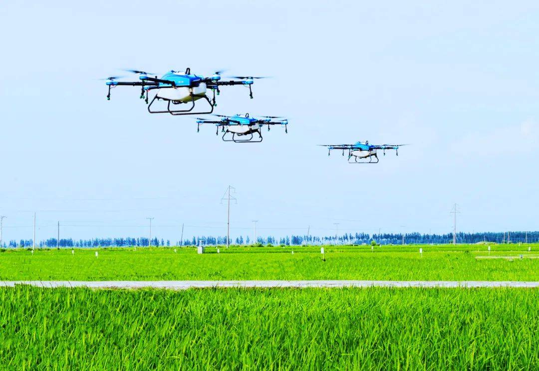 科学与健康丨最深50米！东北黑土地有了地质档案