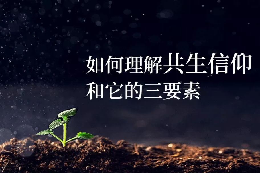 陈春花：相信的力量
