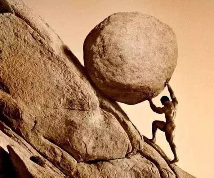 陈春花：相信的力量