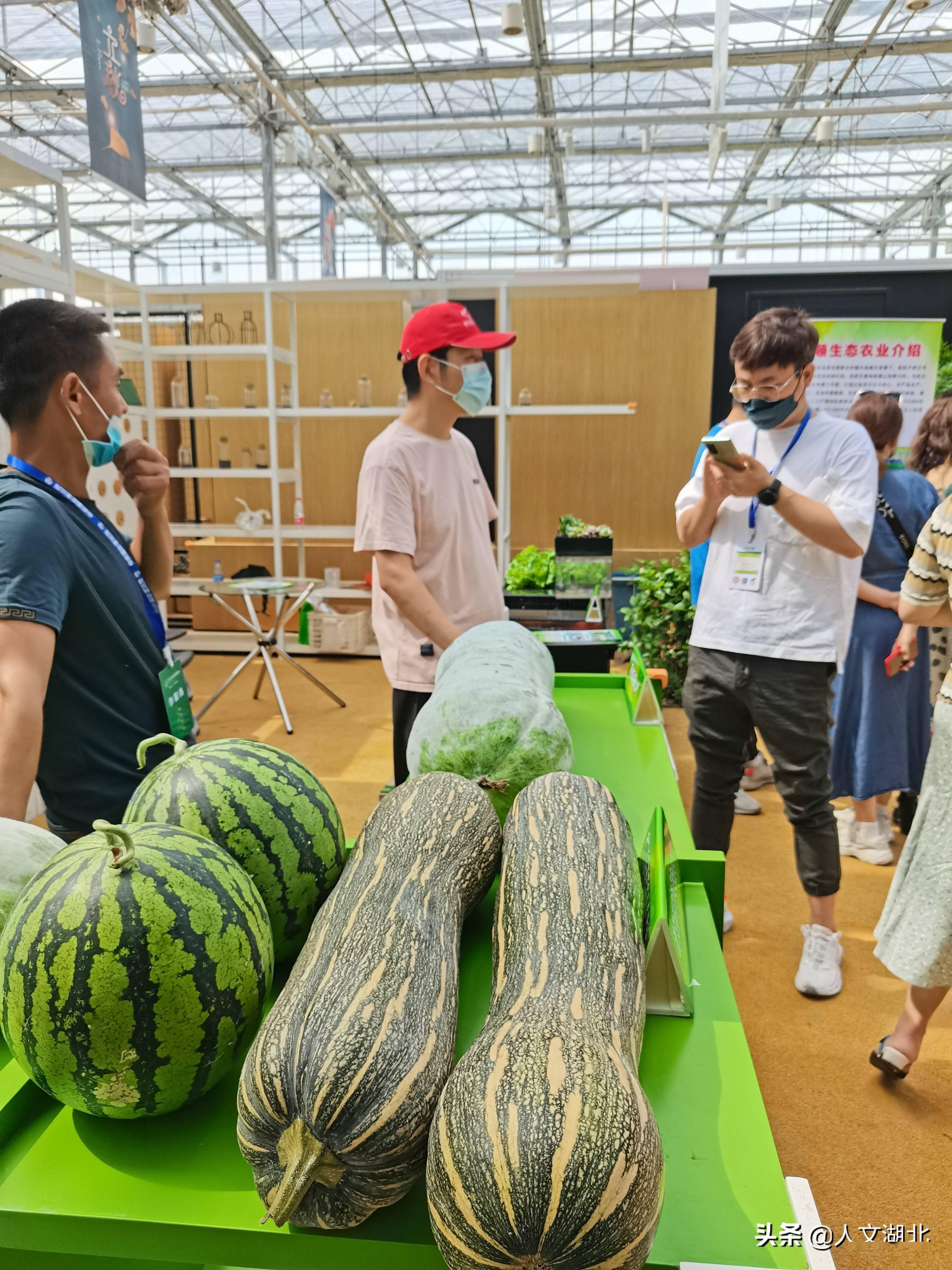 陈世杰总领事出席2025年新西兰国际农业博览会开幕式