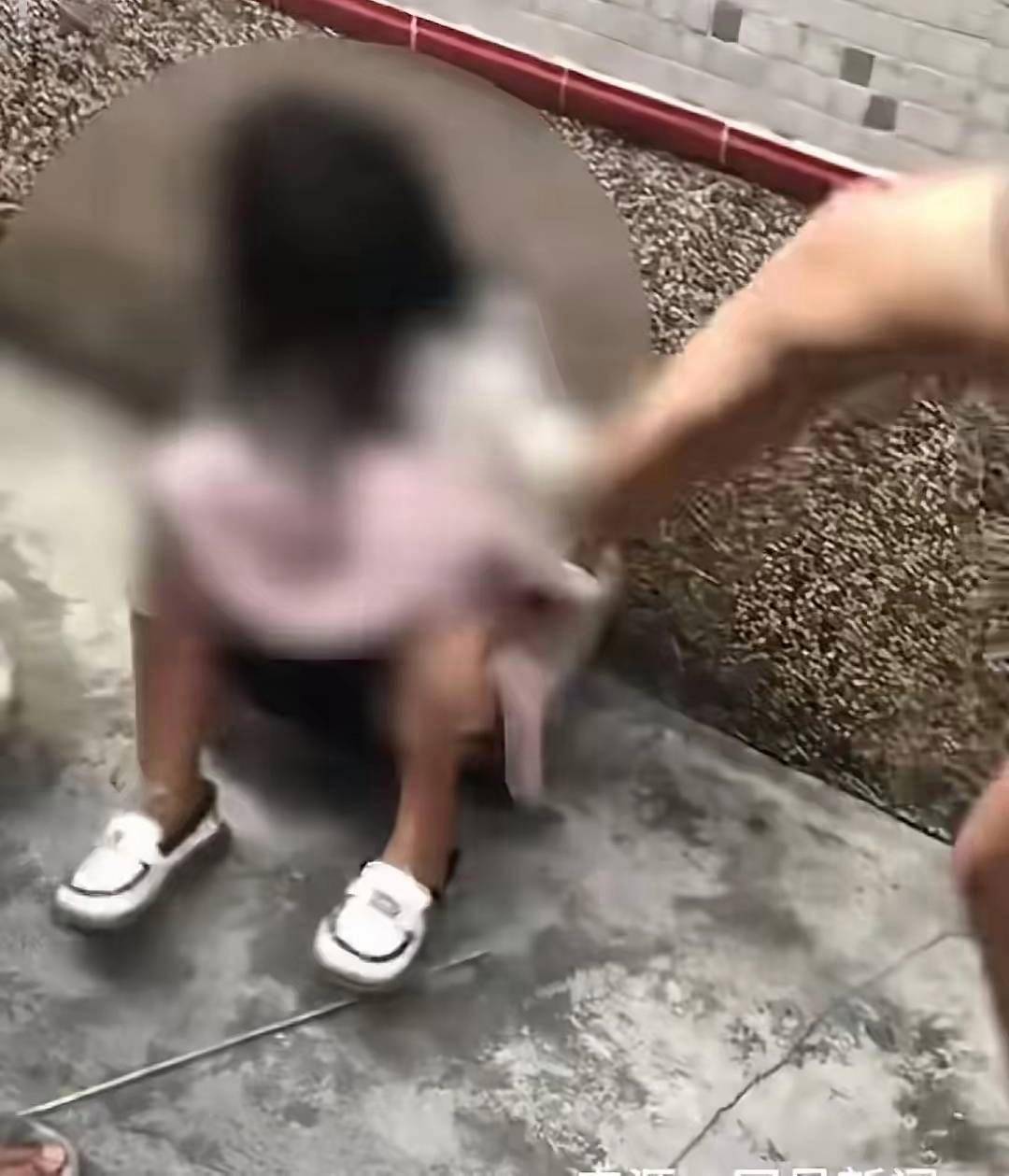 当场击毙8名被抓获的劫匪！一中企遭抢劫致中国公民伤亡，我大使馆通报：歹徒企图夺枪袭警，该国警察火速出手