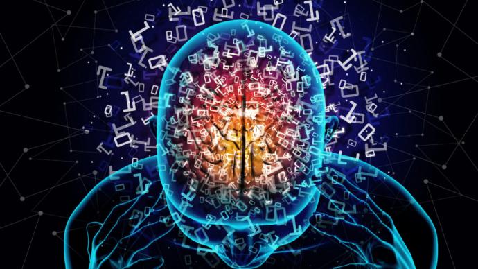 微米级“脑地图”来了！我国科学家在脑图谱研究领域取得新突破