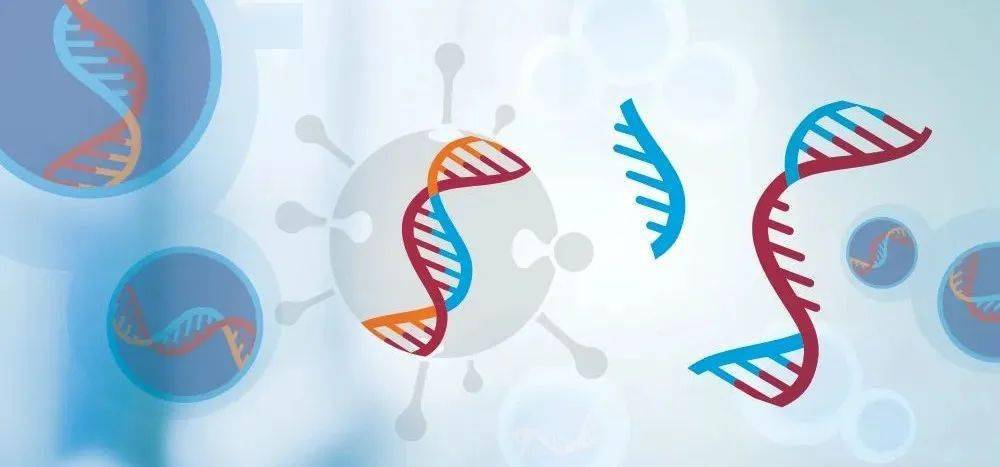 万邦德：WP107口服溶液药物临床试验申请获批