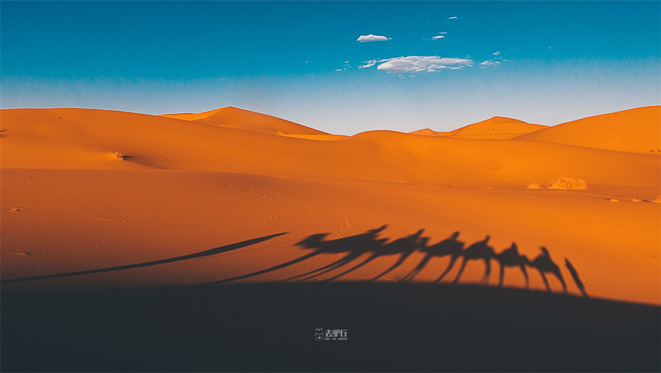 摩洛哥出席第十七届美非商业峰会