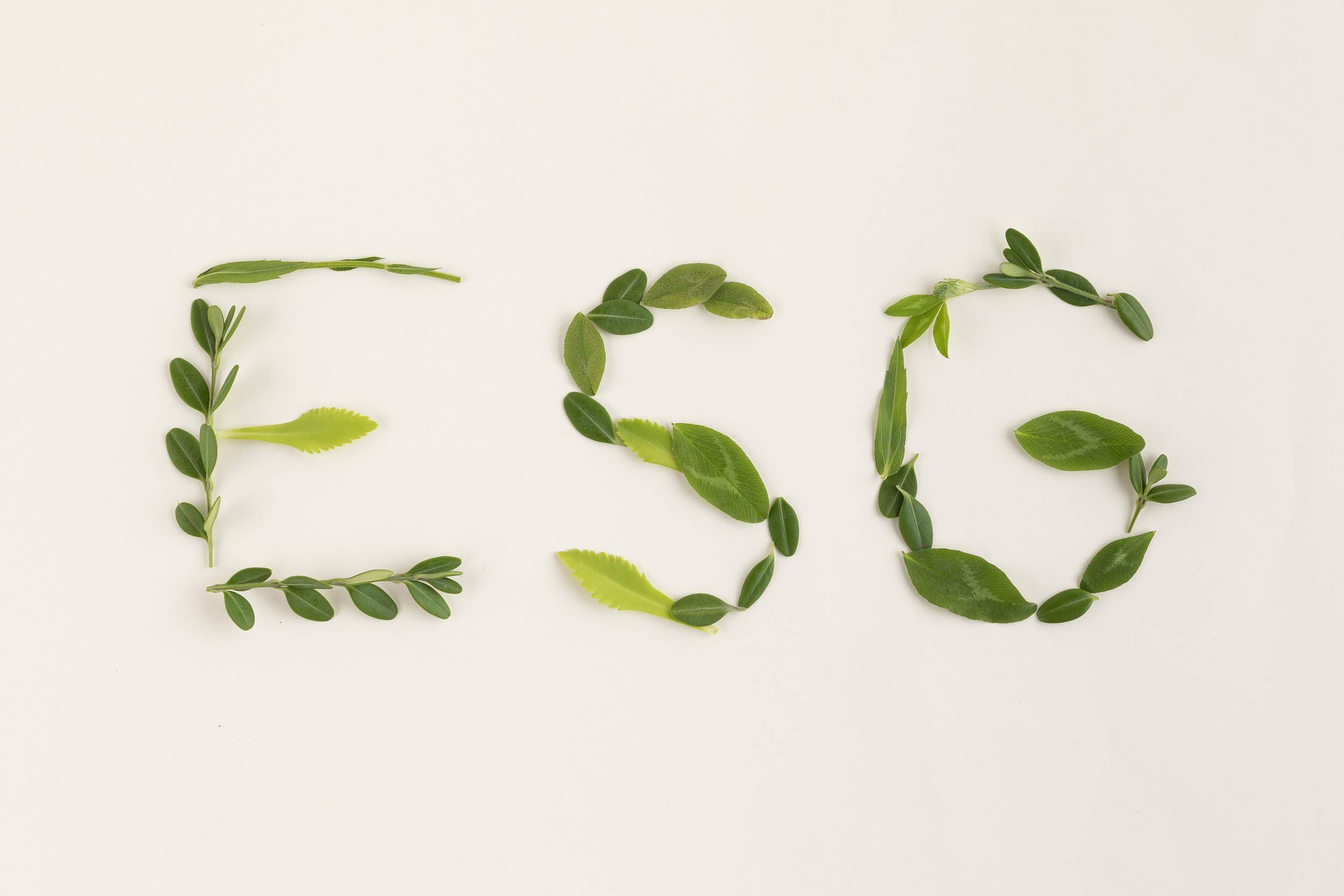 【ESG动态】巨星传奇（06683.HK）获华证指数ESG最新评级BBB，行业排名第12