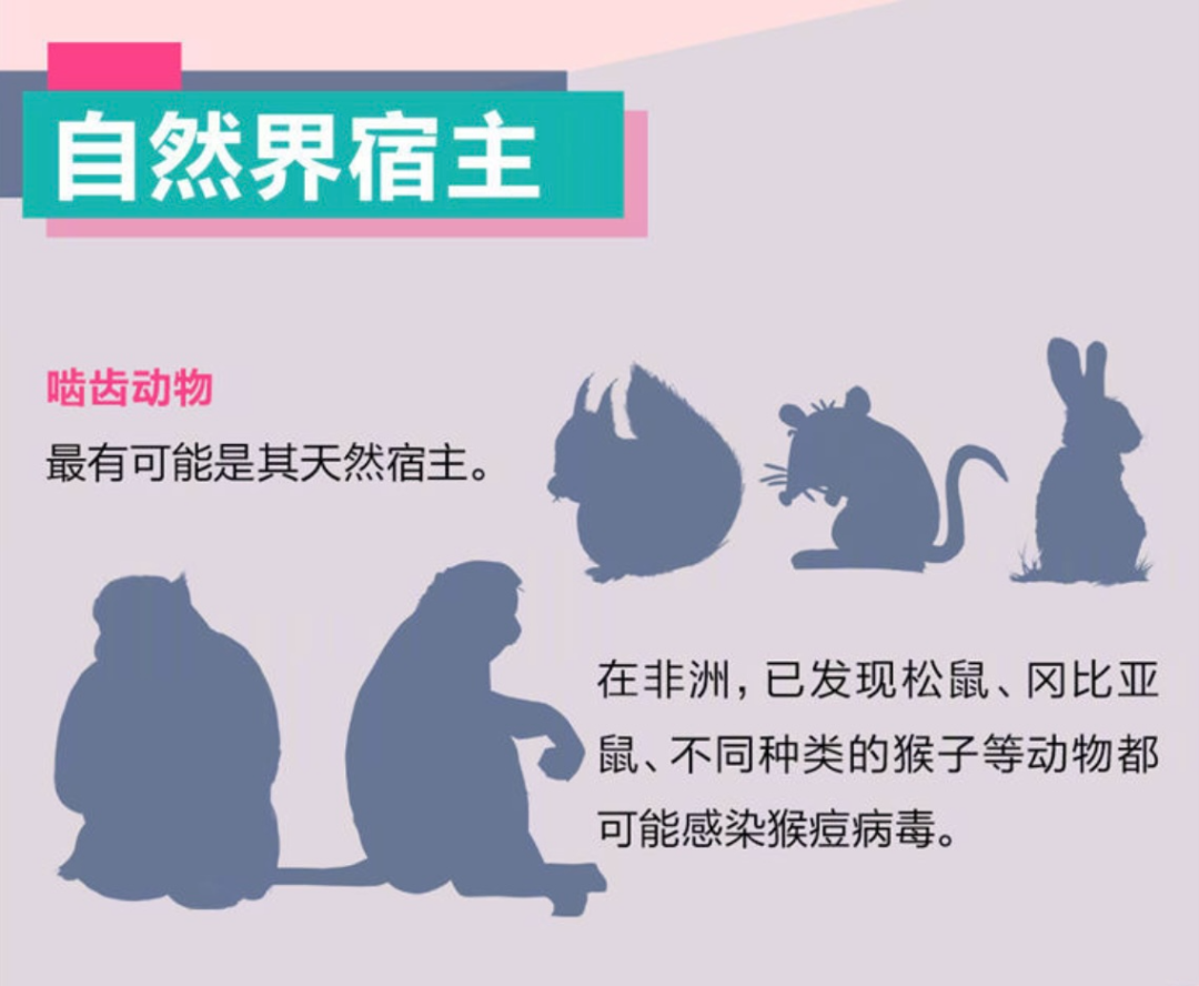 华兰疫苗获得发明专利授权：“一种猴痘病毒B6R抗原及其制备方法与应用”