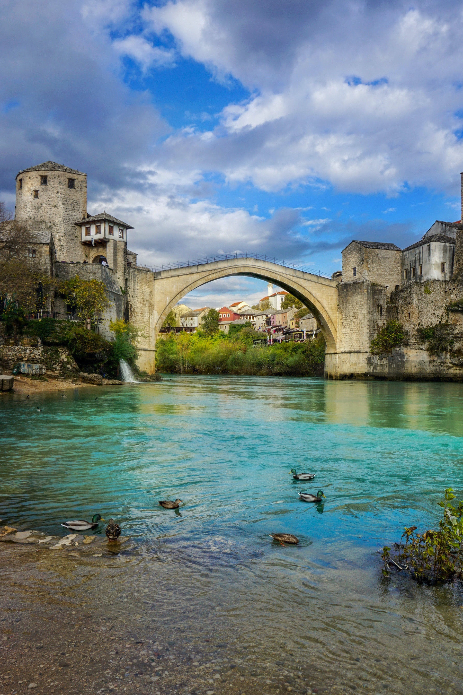 波黑联邦农民协会要求该实体宣布进入自然灾害状态