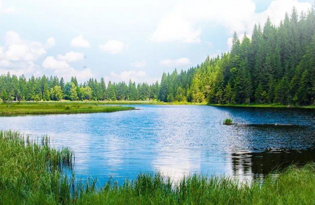 科技加持，暑期旅途惬意升级
