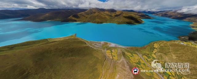 四连板西藏旅游提示风险：公司股票可能存在市场情绪过热、非理性炒作