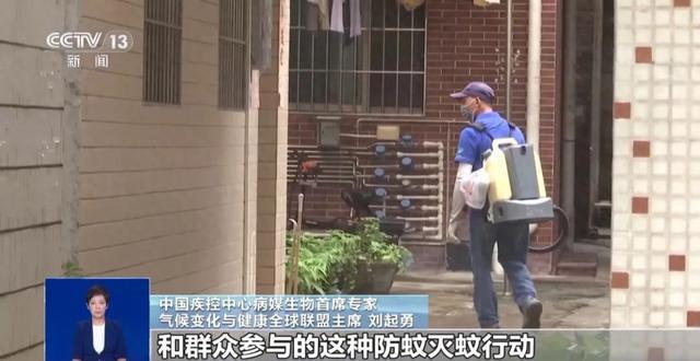 确诊超4000例！关于基孔肯雅热，张文宏首次发声！世卫警告：正在全球多地扩散，已有119个国家报告病例，约550万人面临感染风险