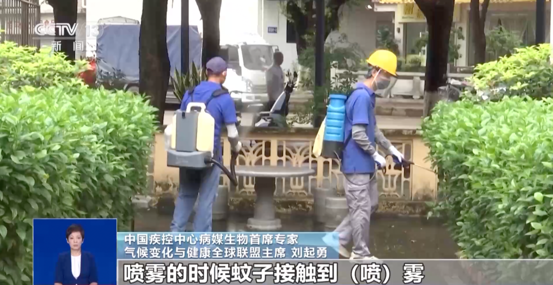 确诊超4000例！关于基孔肯雅热，张文宏首次发声！世卫警告：正在全球多地扩散，已有119个国家报告病例，约550万人面临感染风险