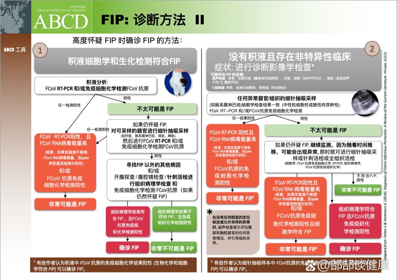 生物股份：猫传染性腹膜炎mRNA疫苗获临床试验批件